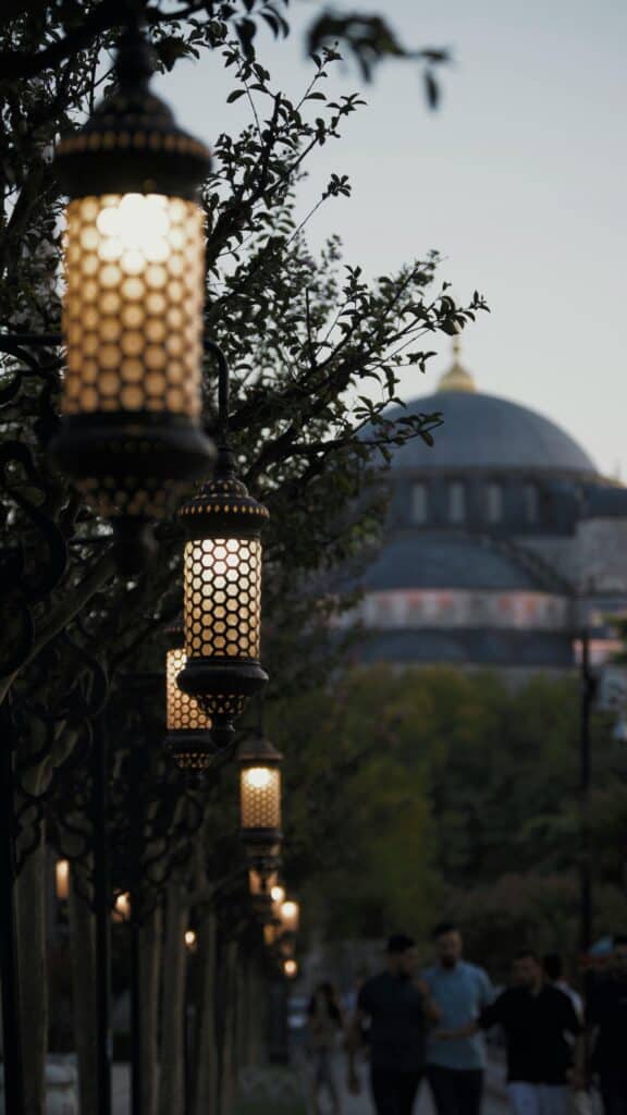 licitaciones alumbrado publico