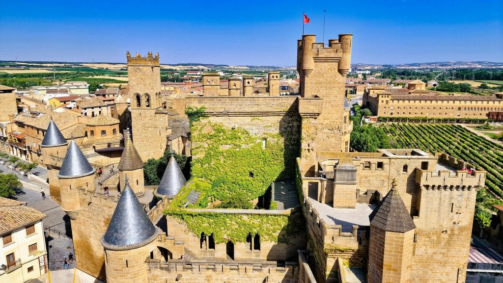 Tipo de subvenciones en Navarra